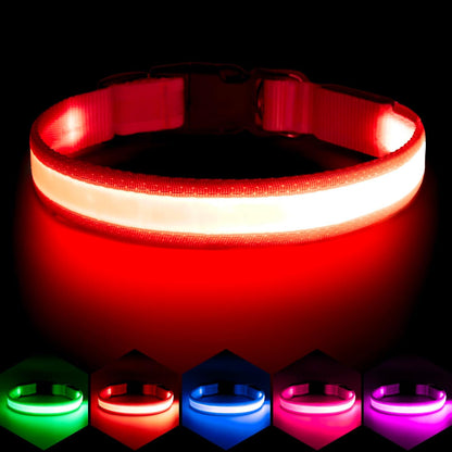 Bright & Stylish Adjustable LED Dog Collar - USB Rechargeable Safety for Your Pup (Medium, Red)