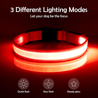 Bright & Stylish Adjustable LED Dog Collar - USB Rechargeable Safety for Your Pup (Medium, Red)